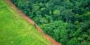 Agricultural commodity consumption and trade responsible for over 40% of tropical deforestation
