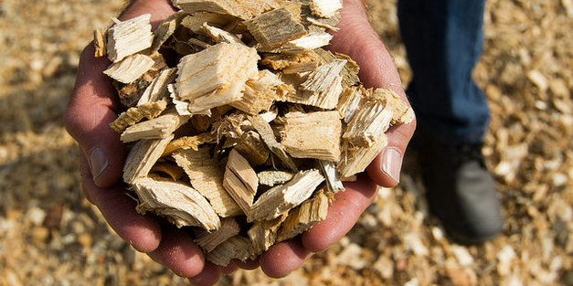 EFI report: Forest biomass, carbon neutrality and climate change mitigation
