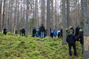 Focali brief: What is the preference of Swedish forestry stakeholders - biodiversity or production goals?