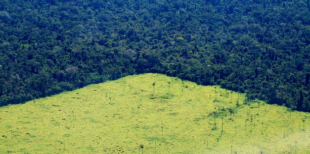 Have Brazil’s deforestation policies hit the limits of their effectiveness?