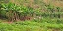 Methods for the quantification of emissions at the landscape level for developing countries in smallholder contexts