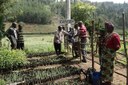 Planting trees – a strategy for healing degraded land