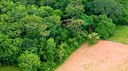 Vast areas in the Brazilian Amazon may lose its protection new study finds