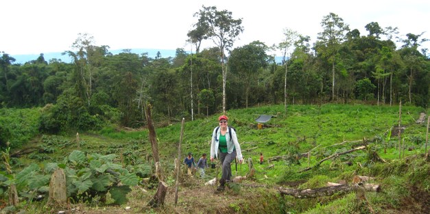 Bottom-up but also top-down – why local institutions matter for REDD+