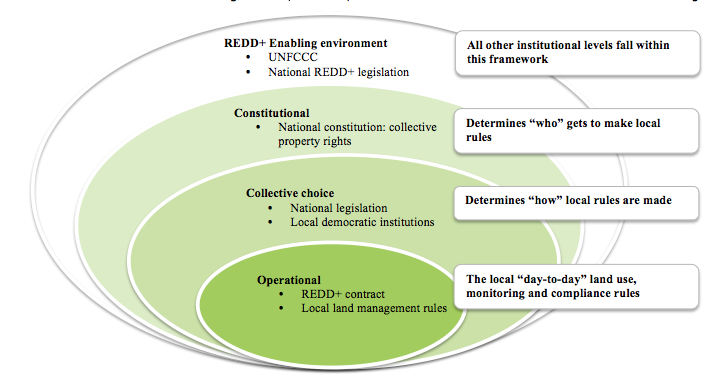 Figure 2: Multi-level institutional framework proposed for forest governance under the REDD+ mechanism. 