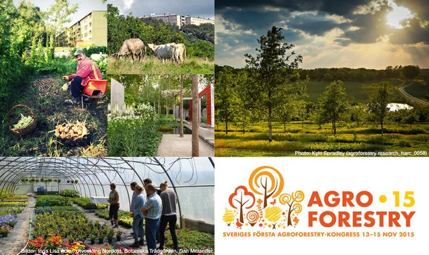Sweden's first Agroforestry Congress 