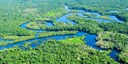 Buying conservation in tropical developing countries?