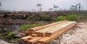 Globalization and commercial drivers behind deforestation   - How to reduce deforestation in an increasingly interconnected world?