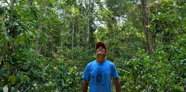 Forest Tenure Reform in the Amazon – A path to livelihoods and tenure security for local people?