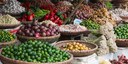 Konsumera mat utan tropisk avskogning – går det?