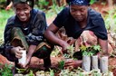 Launch event: “Achieving the Global Goals through agroforestry”