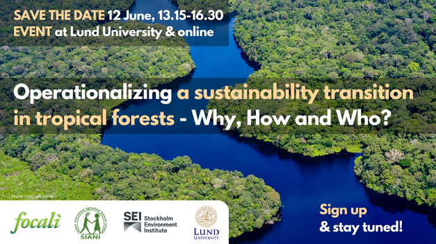 Operationalizing a sustainability transition in tropical forests