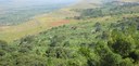 Conference: Production and Carbon Dynamics in Sustainable Agriculture and Forest Systems in Africa–Science Needs and Deeds