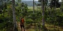 ASEAN Guidelines for Agroforestry Development - a success story for landscapes, livelihoods and resilience