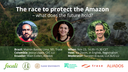 The race to protect the Amazon – what does the future hold? 