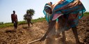 Reap what you sow: Turning agriculture into an opportunity for the youth in the Sahel